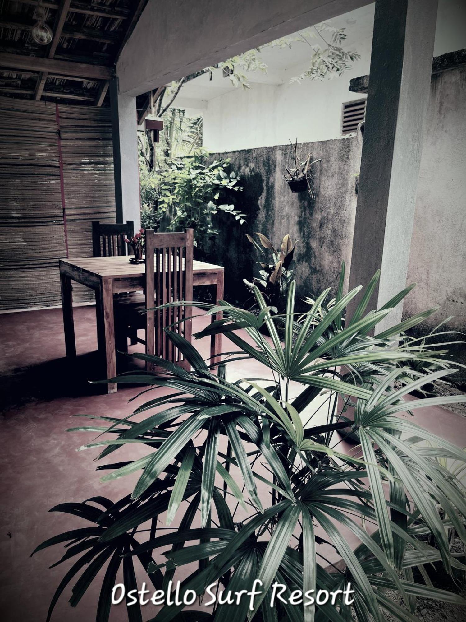 Ostello Surf Resort Ahangama Rum bild