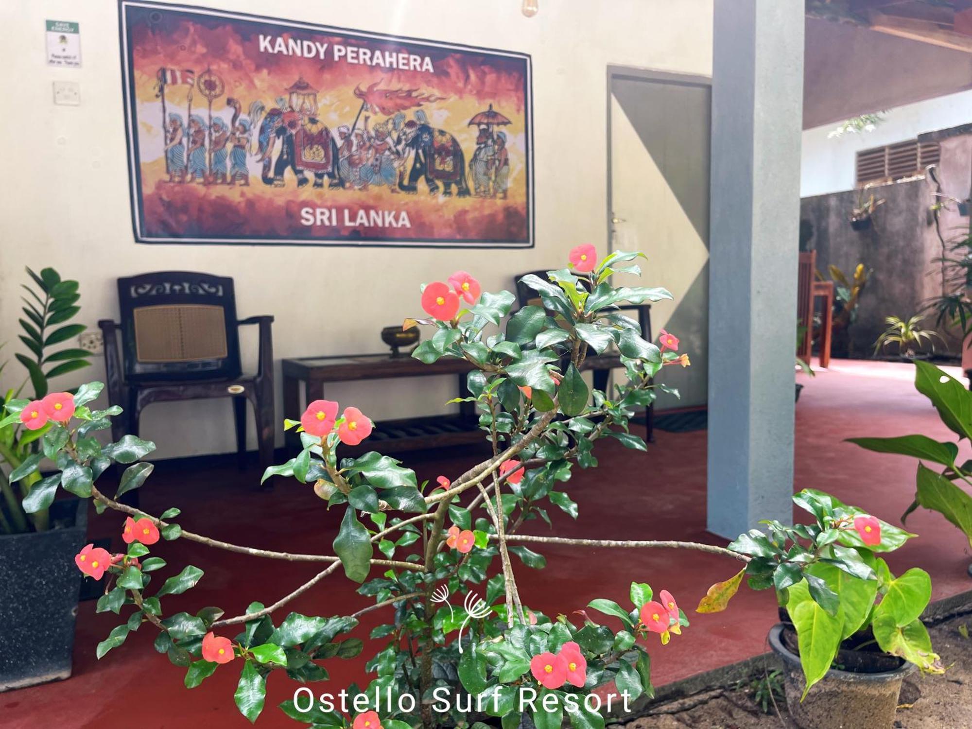 Ostello Surf Resort Ahangama Rum bild