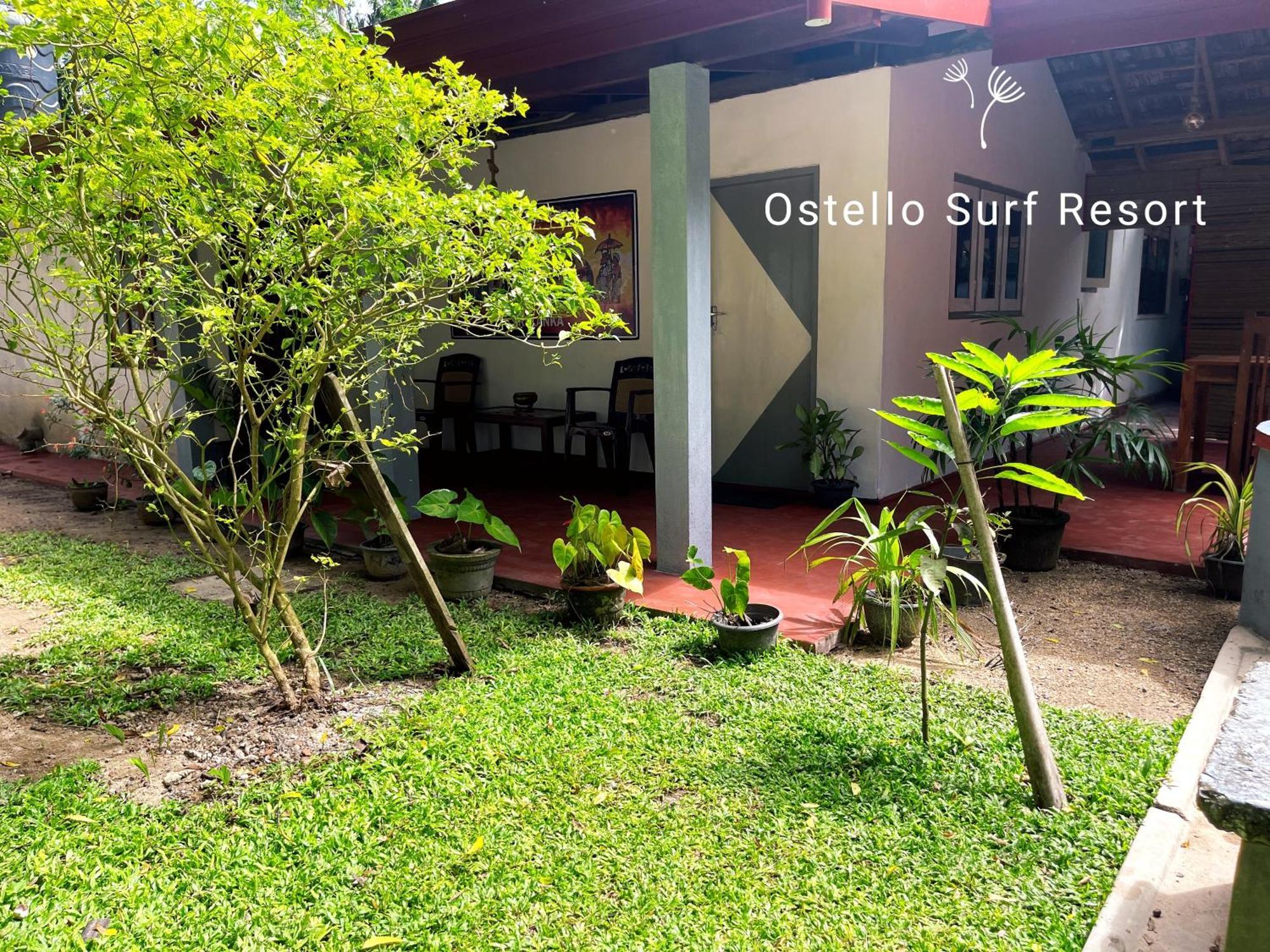 Ostello Surf Resort Ahangama Rum bild